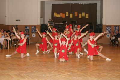 Školní ples 2011.