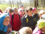 Lesní pedagogika 2014