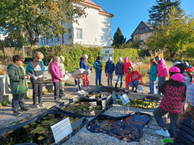 2.A a 3.A v Botanické zahradě Liberec