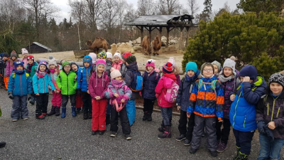 Jak se žije zvířatům v zimní ZOO