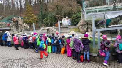 Jak se žije zvířatům v zimní ZOO