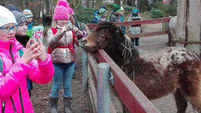 Jak se žije zvířatům v zimní ZOO II.